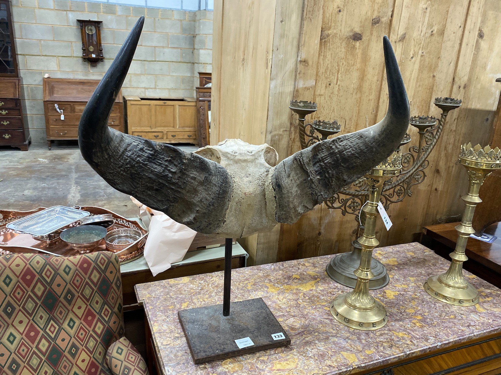 A pair of mounted buffalo horns on cast iron stand, height 75cm
